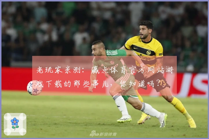老玩家亲测：赢点体育官方网站游戏下载的那些事儿，你知道吗？